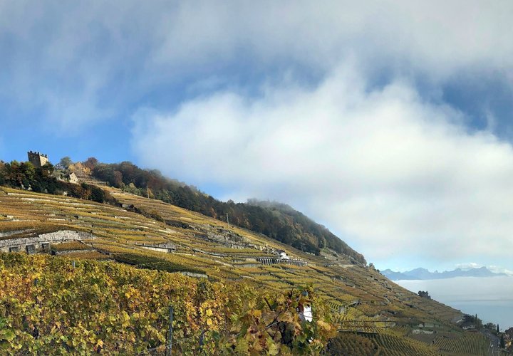 La tour de Marsens, ancienne maison forte de l'évêque de Lausanne en Lavaux