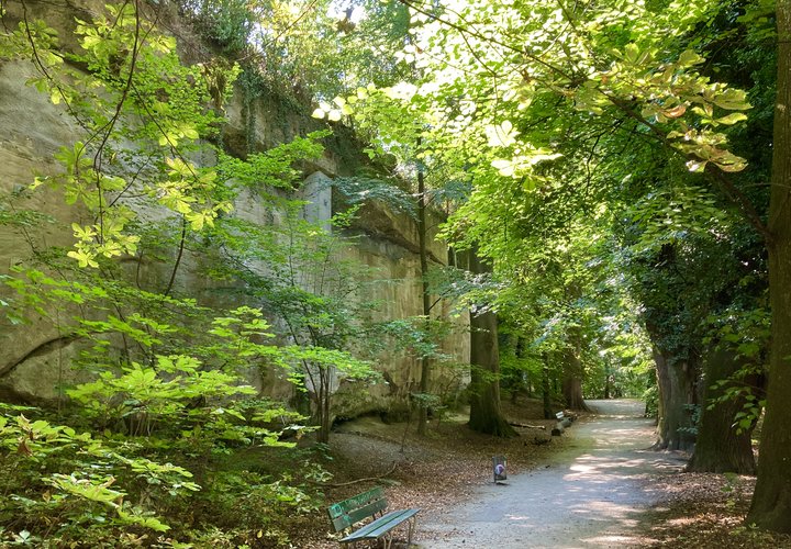 Les multiples visages de la Pontaise